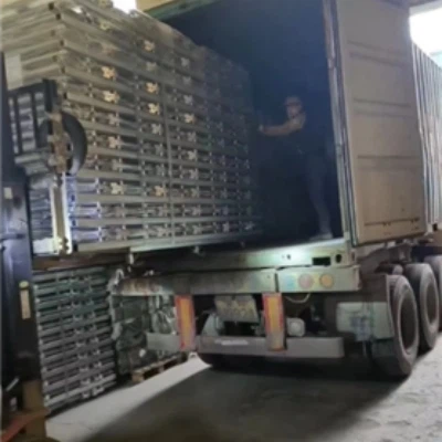 गुरेढोरे हेडलॉकसाठी जपान निर्यात करीत आहे